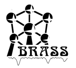 brasslogo.png